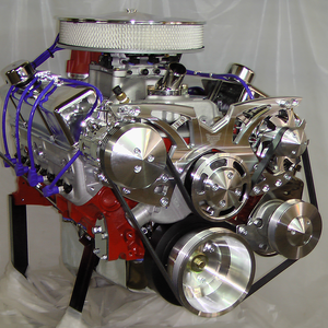 MSD Atomic EFI Small Block Chevy